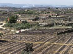 Campos enteros quemados junto a la localidad de Asín por el incendio en las Cinco Villas.