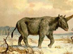 Dibujo del unicornio de Siberia, por Heinrich Harder (BBC Mundo)