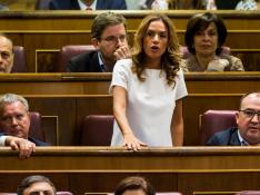 La diputada del PSOE por Zaragoza, Susana Sumelzo, en el momento de votar 'no'.