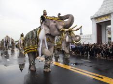 Una formación de elefantes presenta sus respetos al difunto rey de Tailandia.