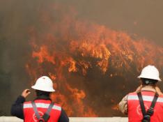 Incendio forestal en Valparaíso