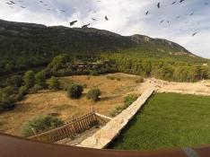 Valderrobres: Con las alas desplegadas a la hora del rancho