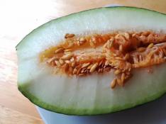 Torres de Berrellén: el melón más dulce, el verdadero