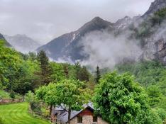 Cuatro cámpines del Pirineo aragonés, entre los mejores de España