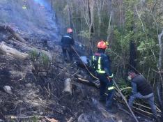 Un árbol derribado por el aire provoca un incendio entre Seira y Campo