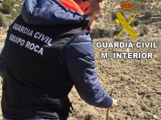 La Guardia Civil esclarece un hurto de 200 planteros de almendro en el Bajo Aragón
