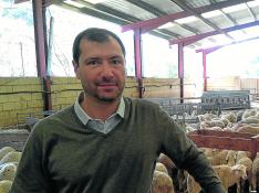 José Antonio Brun, en una instalación ganadera de ovino propio de Ansó.