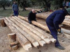 La Asociación Nabateros D'a Galliguera haciendo la mortesa con los troncos para construir las navatas que descenderán por el Gálego.