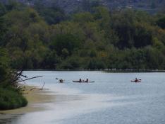 Piraguas navegando por el Ebro en Escatrón; al fondo, gacetas en el agua.