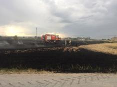 Las llamas han arrasado varios campos de cultivo junto a la estación de tren.