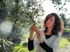 Alba Chesa recoge olivas con las que luego se elaboran la base de sus jabones.