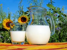 Aragón no se plantea regular la venta de leche cruda.