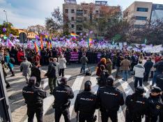 Cientos de manifestantes en la movilización convocada este martes en Sevilla.