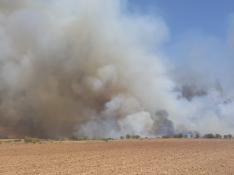 Incendio en una zona agrícola en el término municipal de Villanueva de Huerva.