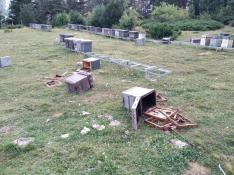 Colmenas de abejas destrozadas por el oso Goiat hace dos días cerca de Plan