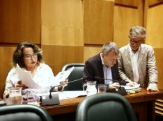 Unanimidad en el Ayuntamiento de Zaragoza para exigir la deuda del tranvía