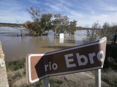 Crecida del río Ebro a su paso por Novillas