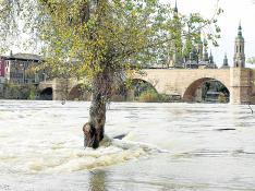 El Ebro a su paso por Zaragoza este domingo, a 850 metros cúbicos por segundo.