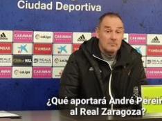 Víctor Fernández, del Real Zaragoza: "Me gusta Pereira, es diferente a todo lo que tenemos"