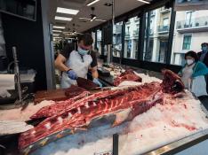 Un atún de 285 kilos recala en el Mercado Central de Zaragoza.