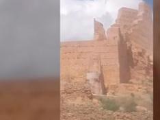 Las cabras montesas 'conquistan' el castillo de Monreal de Ariza.
