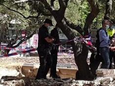 Rivarés se encadena a un olivo para denunciar la tala de la plaza de Salamero