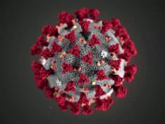 Recreación del patógeno causante del virus de la covid-19.