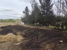 Incendio en una parcela vacía de la urbanización El Sisallar en Nuez de Ebro