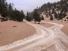 Contraste del blanco de la nieve y el marrón provocado por el polvo del Sáhara en Llanos del Hospital.