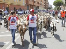 Los ganaderos de Aragón han manifestado públicamente su oposición a la presencia del lobo.