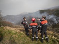 Tres bomberos observan la evolución del incendio.