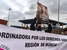 Concentración contra la exportación de animales vivos en el puerto de Cartagena.