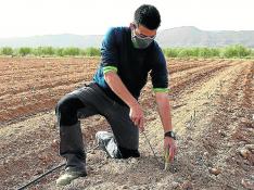 José Manuel Sebastián, joven agricultor que ha apostado por el cultivo de espárrago.