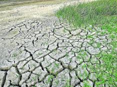 Los periodos de fuerte sequía, muy visibles en los suelos agrícolas, son cada vez más habituales.