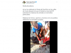 Captura del tuit emitido por la diputada de Vox Teresa López denunciando el sacrificio de una vaca en las calles de Ceuta.