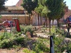 Trabajos de limpieza y reparación que la Diputación de Zaragoza realiza tras el paso de la DANA