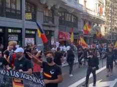 Manifestación de un grupo de neonazis en Madrid.