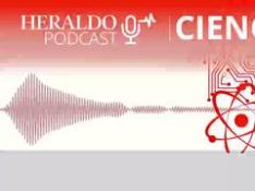 Podcast Heraldo | Materiales biodegradables, ¿hasta qué punto?