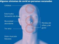 Síntomas de covid más comunes en personas vacunadas.