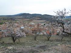 La ruta de los almendros en flor es uno de los grandes atractivos del sábado en Herrera de los Navarros