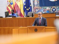 El consejero de Educación, Felipe Faci, durante su intervención este jueves en el pleno de las Cortes