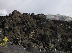La Palma dos meses después de la erupción del volcán