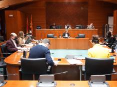 Comisión de Sanidad de las Cortes, antes de la interrupción.