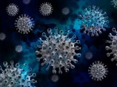 La OMS alerta de nuevas variantes del virus SARS-CoV-2. Covid. gsc