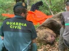 Los agentes de la Guardia Civil encontraron el cadáver del oso