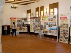 Exposición 'Los yacimientos paleontológicos BIC de la provincia de Teruel' en el Ayuntamiento de Galve.