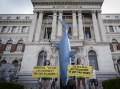 Greenpeace "cuelga" un tiburón en Madrid y denuncia la pesca ilegal que sufre.