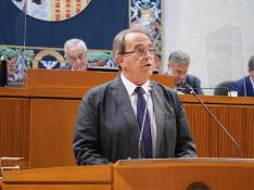 Carlos Pérez Anadón, en las Cortes