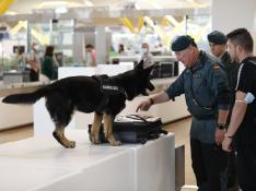 Dispositivo de seguridad de la Guardia Civil en el aeropuerto Adolfo Suárez Madrid Barajas con motivo de Cumbre de la OTAN