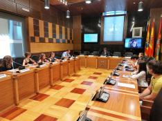 La Ciudad de las Niñas y los Niños de Huesca ha celebrado su último pleno en la sala del plenario del Ayuntamiento.